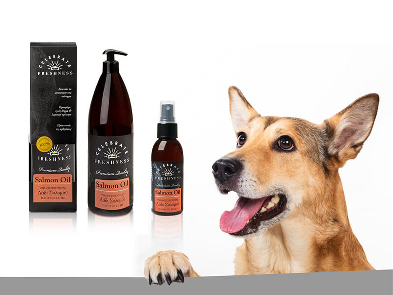 Salmon Oil