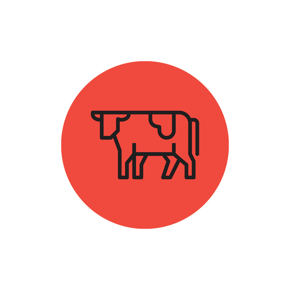 Beef