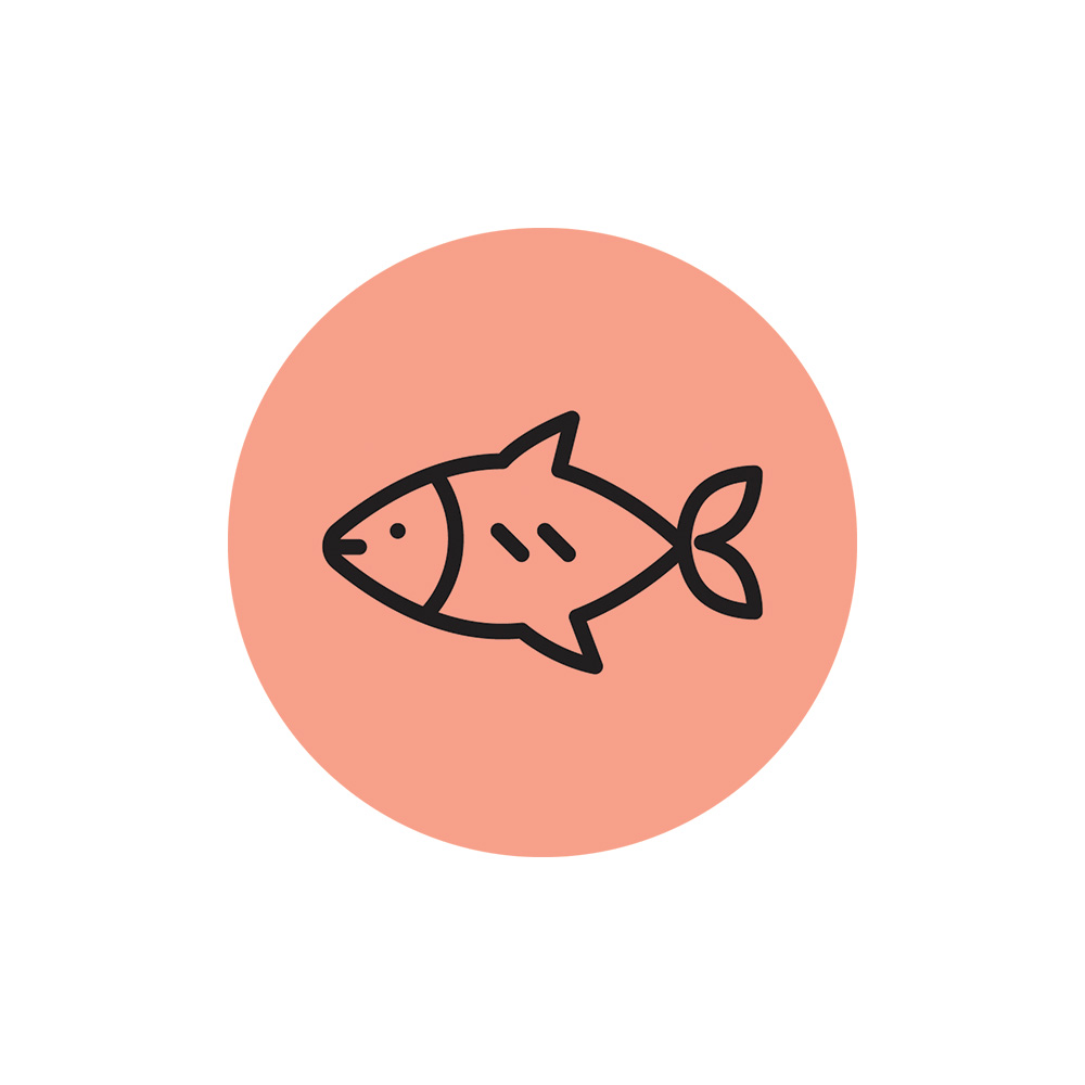 Salmon